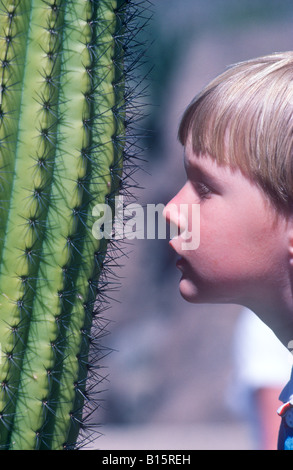 Ein neugieriger Junge Junge steht in der Nähe ein Saguaro-Kaktus mit spitzen Nadeln. Stockfoto