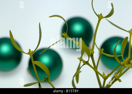 Mistel und Weihnachten Kugeln Stockfoto