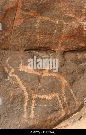 Petroglyphen in Besuches Ahakit Tassili Ahaggar Sahara Wüste Algerien Stockfoto