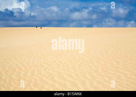 Spanien, Kanarische Inseln, Fuerteventura, Corralejo beach Stockfoto