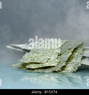 Nori Algen, close-up Stockfoto