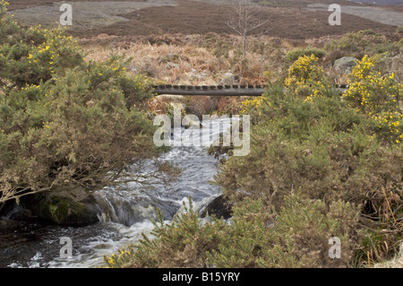 Hölzerne Brücke über das Brennen von Korn in der Nähe von Birs Burg auf der Fungle Straße Stockfoto