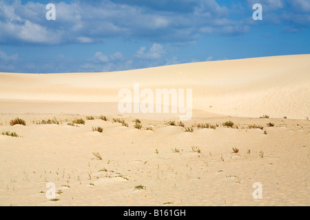 Spanien, Kanarische Inseln, Fuerteventura, Corralejo beach Stockfoto