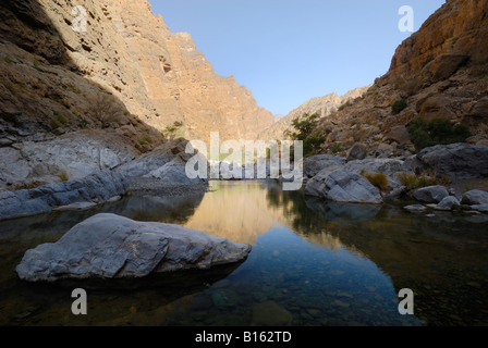 Nachschlagen von Wadi al Muaydin im Jabal al Akhdar-massiv des Hadjar-Gebirges des Sultanats von Oman Stockfoto