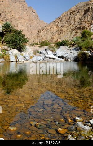 Nachschlagen von Wadi al Muaydin im Jabal al Akhdar-massiv des Hadjar-Gebirges des Sultanats von Oman Stockfoto