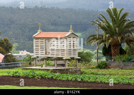 Ein Stein Horreo (ein traditionelles Geschäft für Mais) in Galizien, eine Region von Nordwesten Spaniens. Stockfoto