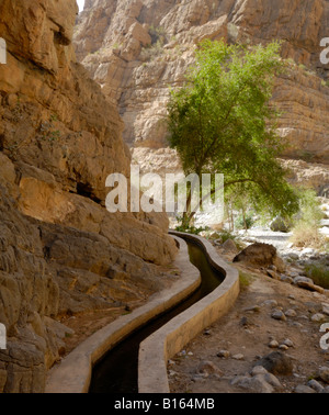 Nachschlagen von Wadi al Muaydin im Jabal al Akhdar-massiv des Hadjar-Gebirges des Sultanats von Oman Stockfoto