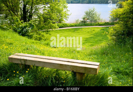 Der See an einem sonnigen Tag im Sommer Coate Water Country Park, einem lokalen Naturschutzgebiet in der Nähe von Swindon, Wiltshire, England, UK Stockfoto