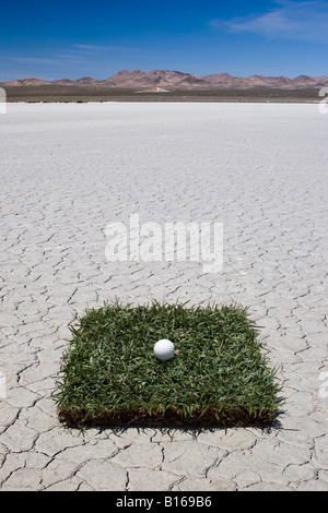 Golfball auf einem Stück Rasen in der Wüste Stockfoto