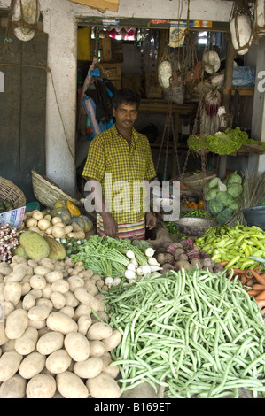 Gemüsemarkt Shop Aluthgama Stockfoto