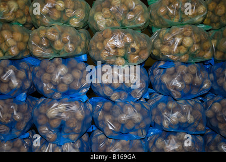 Getrocknete Zitronen auf Verkauf im pflanzlichen Souk (Markt) in der Stadt von Nizwa, in das Sultanat Oman. Stockfoto