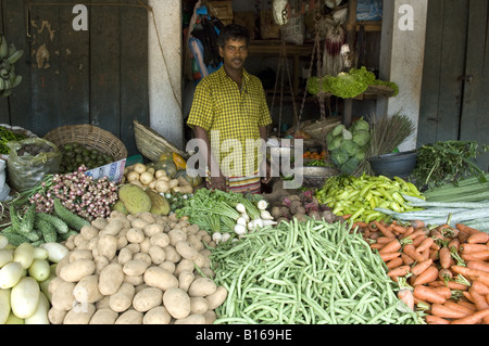 Gemüsemarkt Shop Aluthgama Stockfoto