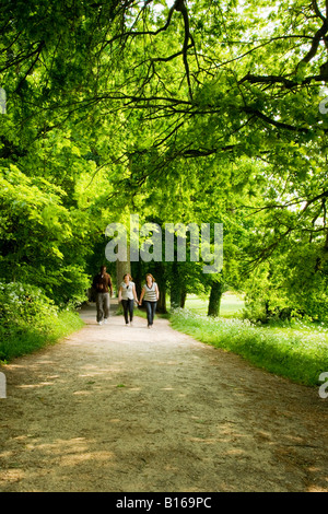 Drei Menschen zu Fuß auf einem von Bäumen gesäumten Weg im Sommer bei Coate Water Country Park, in der Nähe von Swindon, Wiltshire, England, UK Stockfoto