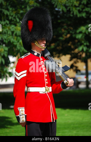 Household Cavalry paradieren auf The Long Walk, Schloss Windsor, Windsor, Berkshire, England, Vereinigtes Königreich Stockfoto