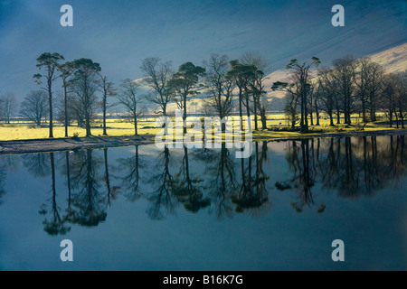 Buttermere englischen Lake District Cumbria Stockfoto