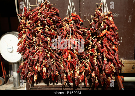 Reihen von getrocknet Chilis hängen von einer Pflanze Shop in Tropea Italien Stockfoto