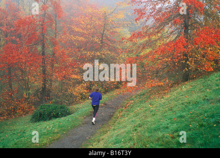 Jogger auf Wildwood Trail mit Bäumen in Herbstfarben Hoyt Arboretum Washington Park Portland Oregon Stockfoto