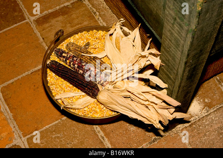 Maiskolben in eine Schüssel mit Kernel für Dekoration Stockfoto