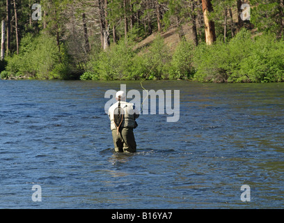 Ein Fliegenfischer wirft ein künstliches Insekt Redside Forellen auf dem Metolius-Fluss in der Nähe von Schwestern Oregon Stockfoto