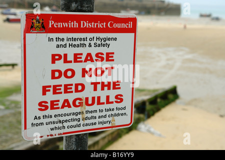 St Ives Cornwall England GB UK 2008 Stockfoto