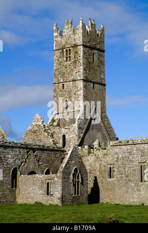 Ross Errilly Friary, County Galway, Irland Stockfoto