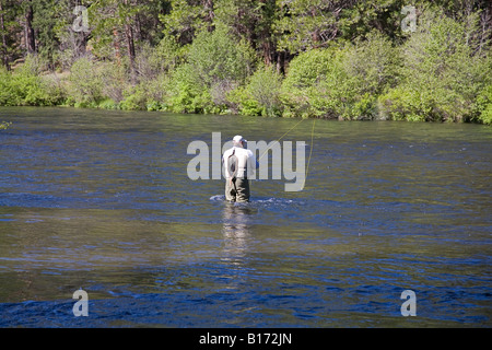 Ein Fliegenfischer wirft ein künstliches Insekt Redside Forellen auf dem Metolius-Fluss in der Nähe von Schwestern Oregon Stockfoto