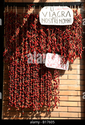 Trauben von roten Chilischoten hängen von einer Shops in Tropea Italien Stockfoto