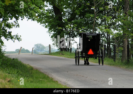 Amische Pferd und Buggy auf Landstraße Stockfoto