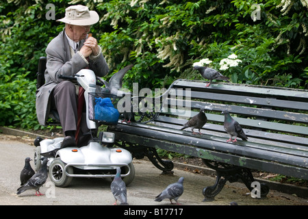 Älterer Mann auf Mobilität Roller im Regents Park Tauben füttern Stockfoto