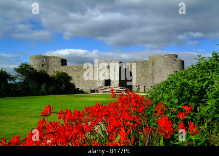 Roscommon Castle, Irland Stockfoto