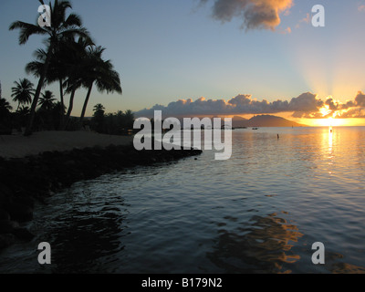 Die Palmen gegen den Tahitian Himmel während eines Sonnenuntergangs gezeigt.  Foto von Tom Zuback.Tom Zuback Stockfoto