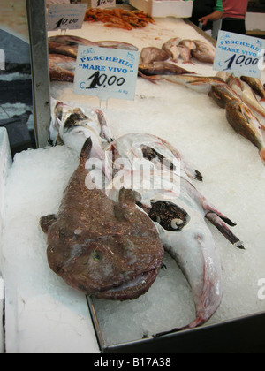 Lophius Piscatorius Angler - Naples Stockfoto