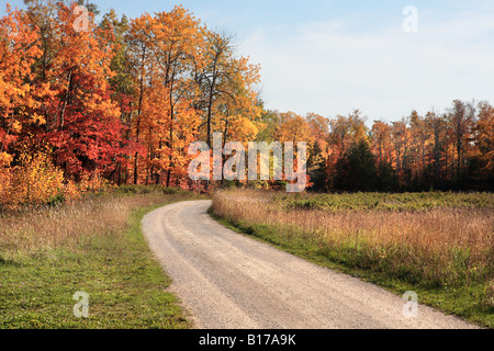 HERBST WALD UND A KIES LANDSTRAßE IN DER NÄHE VON ELLISON BAY DOOR COUNTY, WISCONSIN USA Stockfoto