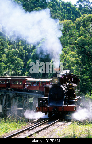 Eine erhaltene Dampflokomotive kreuzt eine Trestle-Brücke, in der Nähe von Belgrave auf Puffing Billy Eisenbahn, Melbourne, Victoria, Australien. Stockfoto