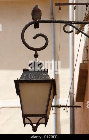 Eine Taube oder Taube sitzt auf einer alten Laterne in einer engen Straße in Aix en Provence, Frankreich, ^ 2. Juni 2007 Stockfoto