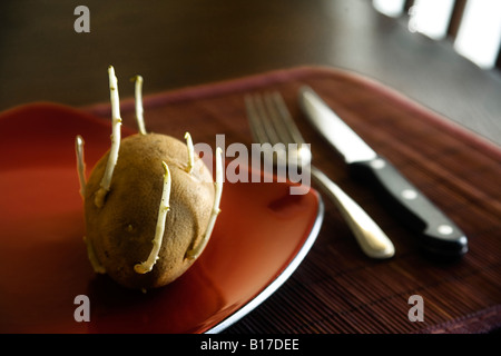 Alten sprießende Kartoffeln auf Teller Stockfoto