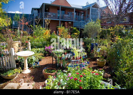 Gartencenter in new South wales Stadt von Berry, die in Shoalhaven an der neuen South Wales Südküste, Australien Stockfoto