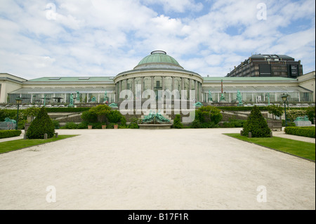 Botanischer Garten in Brüssel Stockfoto