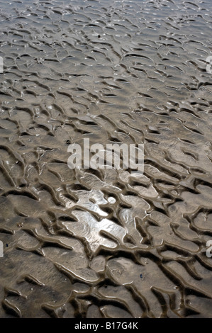 Wellige Sand und Meer Strand abstrakt.  Findhorn Strand, Morray, Schottland Stockfoto