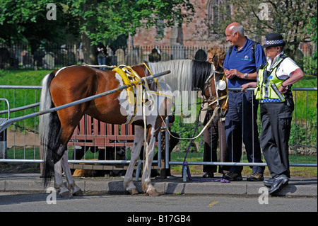 Polizei und öffentliche Besorgnis über den Zustand eines Pferdes. Appleby Pferdemesse. Appleby in Westmorland, Cumbria, England, Vereinigtes Königreich. Stockfoto