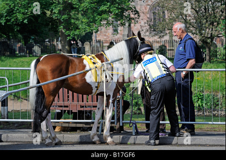 Polizei und öffentliche Besorgnis über den Zustand eines Pferdes. Appleby Pferdemesse. Appleby in Westmorland, Cumbria, England, Vereinigtes Königreich. Stockfoto