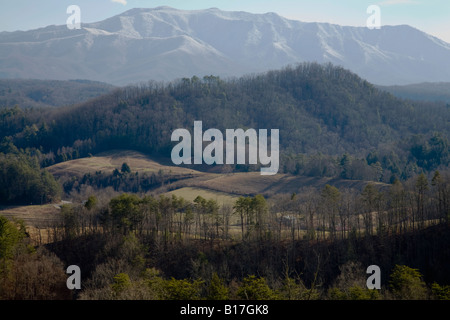 Winterlandschaft Mt LeConte Ost-Tennessee Stockfoto