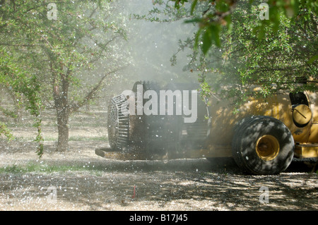Anwendung der Nährstoff Blattsprühmittel eine Mandel Obstgarten-Frühjahr 2008 Stockfoto