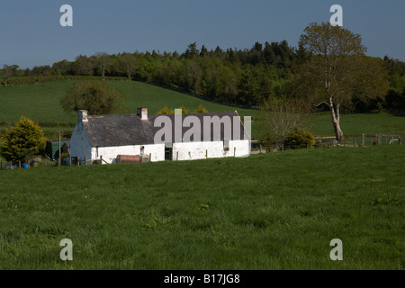 traditionelle irische weiß getünchten Steinhaus mit Schieferdach in Ackerland Grafschaft, Nord-Irland Stockfoto