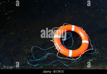 roten Rettungsring schwimmend auf dunklen Seewasser mit Grasschnitt verworfen im County fermanagh Stockfoto