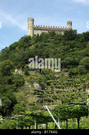 Italien, Piemont, Turin, Schloss Montalto und Weinberge. Stockfoto