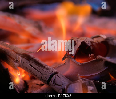 Nahaufnahme eines Lagerfeuers mit Flamme Stockfoto
