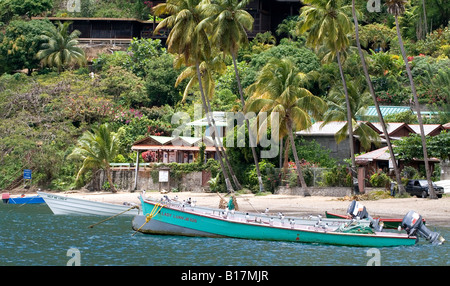 Angelboote/Fischerboote mit Möwen an Bord, festgemacht am Strand mit Palmen in Soufrière, St. Lucia, östlichen Karibik. Stockfoto