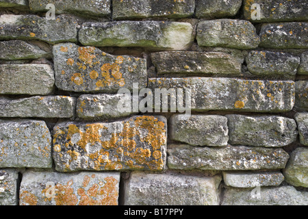 Nahaufnahme einer Steinmauer aus Schutt mit Flechten, Großbritannien Stockfoto