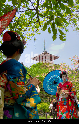 weibliche Touristen verkleidet als Maiko Lehrling Geisha Kyoto Japan Stockfoto